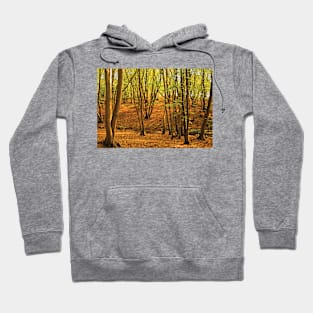 'The Dell' - Donyland Woods in September Hoodie